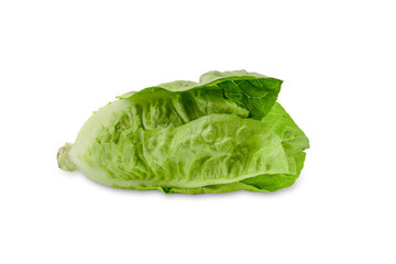 Fresh romaine lettuce isolated on white background
