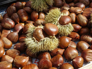 Pile of raw chestnuts. Natural