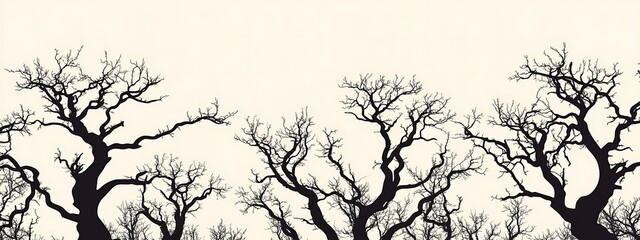 Silhouetted Bare Trees Against a Cream Sky