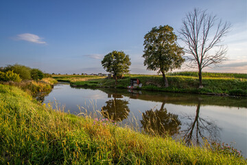 Summer afternoon at a small pond.