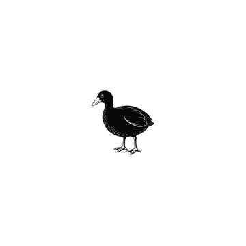 recommend clip art: black and white bird