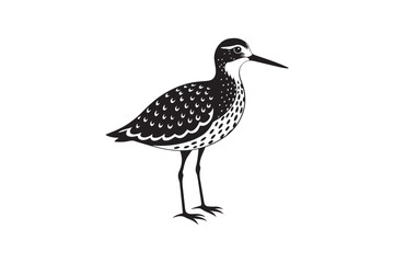 Sandpiper silhouette vector illustration, Sandpiper silhouette vector, Sandpiper silhouette PNG.