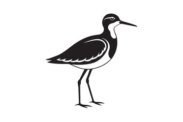 Sandpiper silhouette vector illustration, Sandpiper silhouette vector, Sandpiper silhouette PNG.
