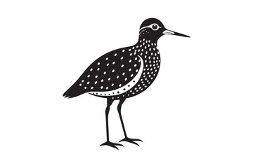 Sandpiper silhouette vector illustration, Sandpiper silhouette vector, Sandpiper silhouette PNG.