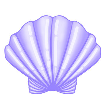 Purple shell, purple shell isolated on white, seashel, scallop illustration, shell illustration, shell design, scallop, shell, 3d shell, 3d scallop, sea, sticker, purple, decoration, element, tropical
