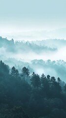 Forest Landscape with Fog and Hills
