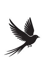 illustration of a bird