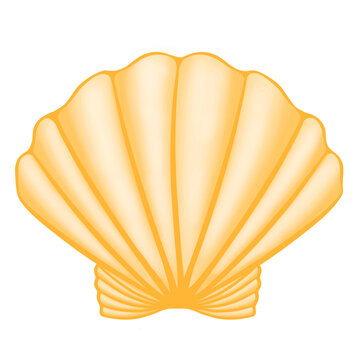 Yellow shell, yellow shell isolated on white, seashel, scallop illustration, shell illustration, shell design, scallop, shell, 3d shell, 3d scallop, sea, sticker, yellow, decoration, element, tropical