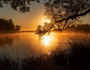A serene lake with a misty, golden sunrise, framed by a silhouetted tree. Peaceful nature scene.