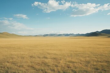 Fototapeta premium The vast grasslands of mongolia stretch endlessly across the horizon