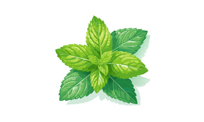 mint