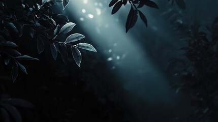 Modern dark background with an elegant feel, highlighted by subtle light