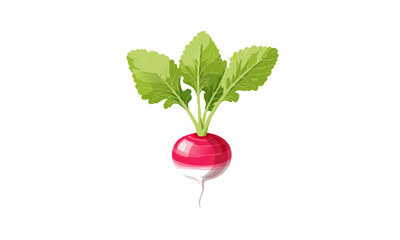 radish