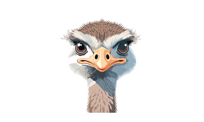 ostrich