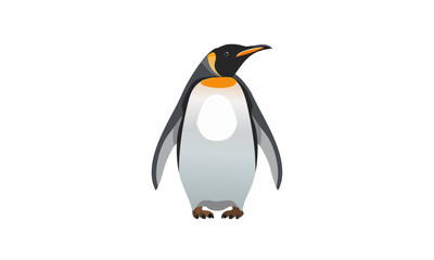 Fototapeta premium penguin isolated on white