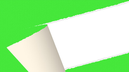 green sheet of torn  paper on transparent background, roolled paper with texture strip isolated overlay design element