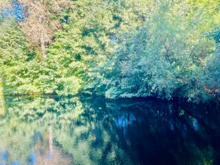 Beautiful trees reflection on the surface of the pond in the park, blue sky