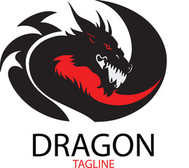 black and white dragon