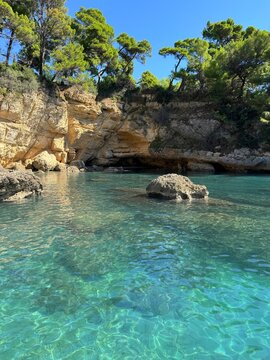 Bay of turquoise blue Adriatic sea and rocky coast overgrown pine trees in Montenegro