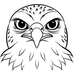 Hawk's Intense Gaze A Vector Art Close-Up