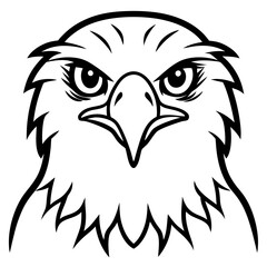 Hawk's Intense Gaze A Vector Art Close-Up