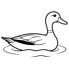 Sleek Mallard Duck Gliding on Pond