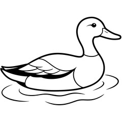 Sleek Mallard Duck Gliding on Pond