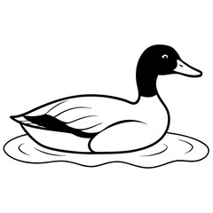 Sleek Mallard Duck Gliding on Pond