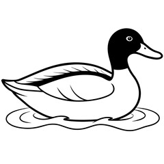 Sleek Mallard Duck Gliding on Pond