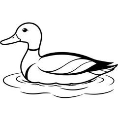 Sleek Mallard Duck Gliding on Pond