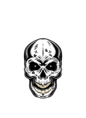 skull on white