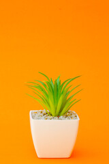 Plastic plant decorations are artificial plants made from various types of plastic materials, designed to mimic the appearance of real plants.