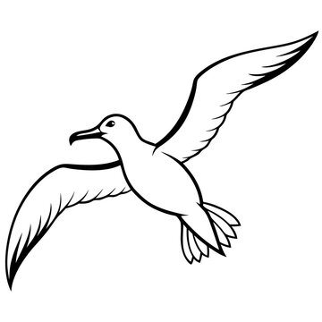 recommend clip art: Graceful Albatross Soaring in Vector Art