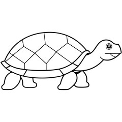Slow-Moving Minimalist Box Turtle with Patterned Shell Vector