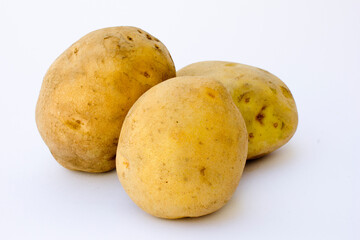 A potato (Solanum tuberosum) is a widely cultivated root vegetable native to the Andes Mountains in South America.