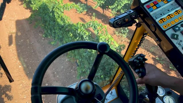 GRAPE HARVESTER FROM INSIDE WHILE HARVESTING