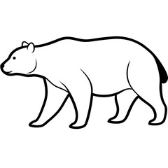 Polar bear vector