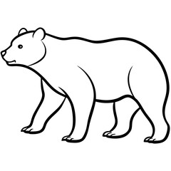 Polar bear vector