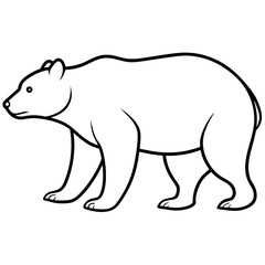 Polar bear vector
