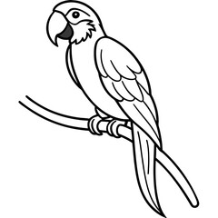 Vibrant Macaw Perched on a Branch