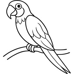 Vibrant Macaw Perched on a Branch