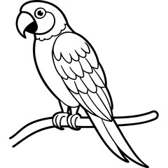 Vibrant Macaw Perched on a Branch