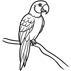 Vibrant Macaw Perched on a Branch