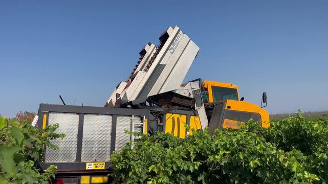 HARVESTER WHILE FINISHES UNLOADING AND CLOSES THE TANKS