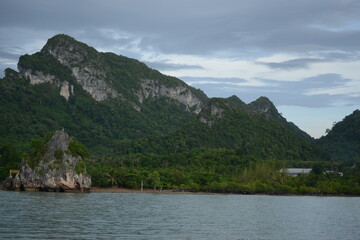 the last trees before the sea starts