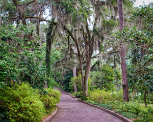 Nature garden at its best