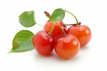 Obraz premium A fresh barbados cherry isolated on white