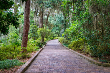 Nature garden at its best