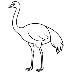 Graceful Emu Tall and Sleek Vector Design
