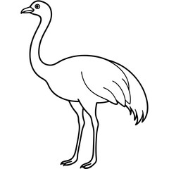 Obraz premium Graceful Emu Tall and Sleek Vector Design